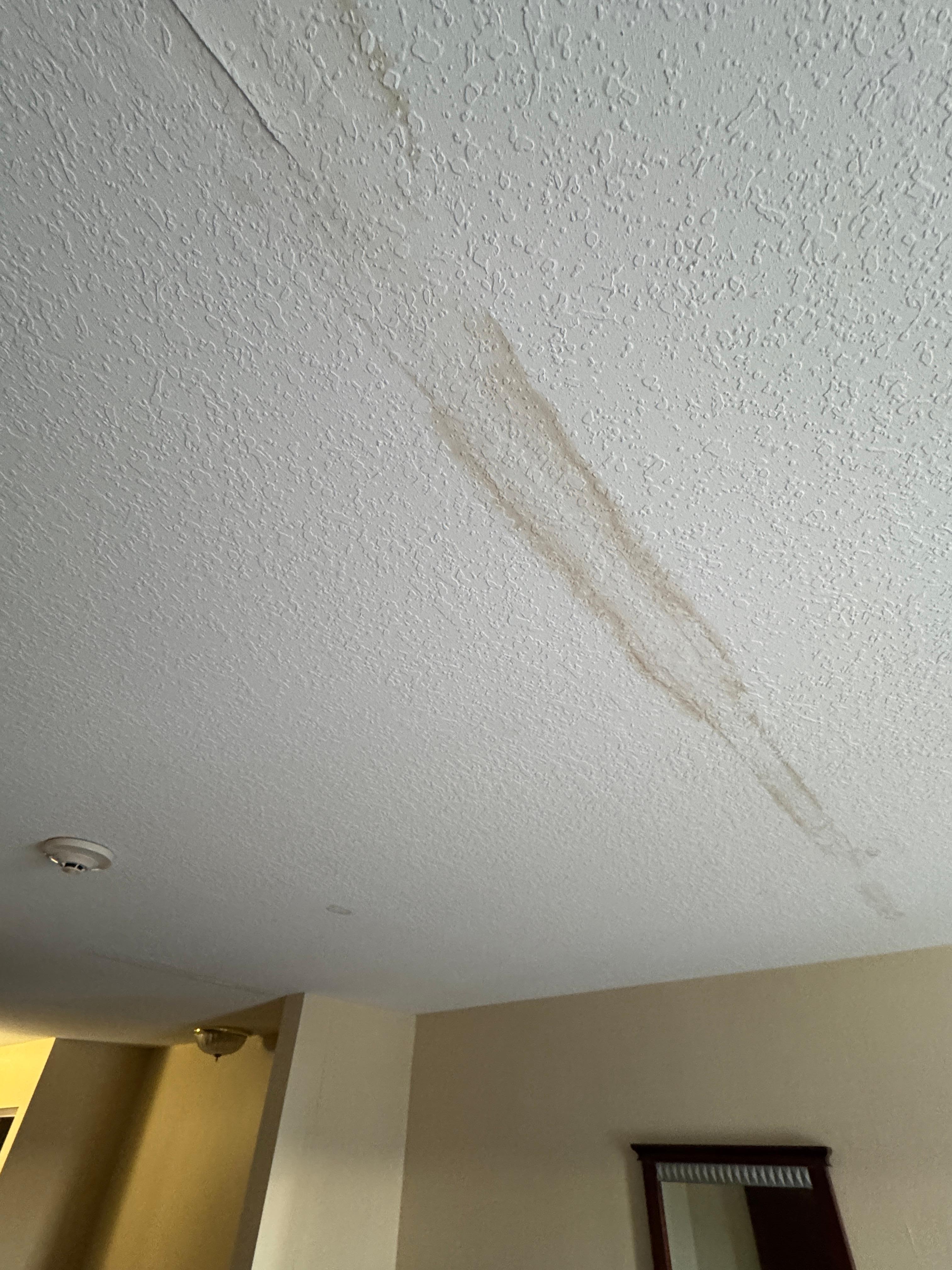 Ceiling stains, disgusting 