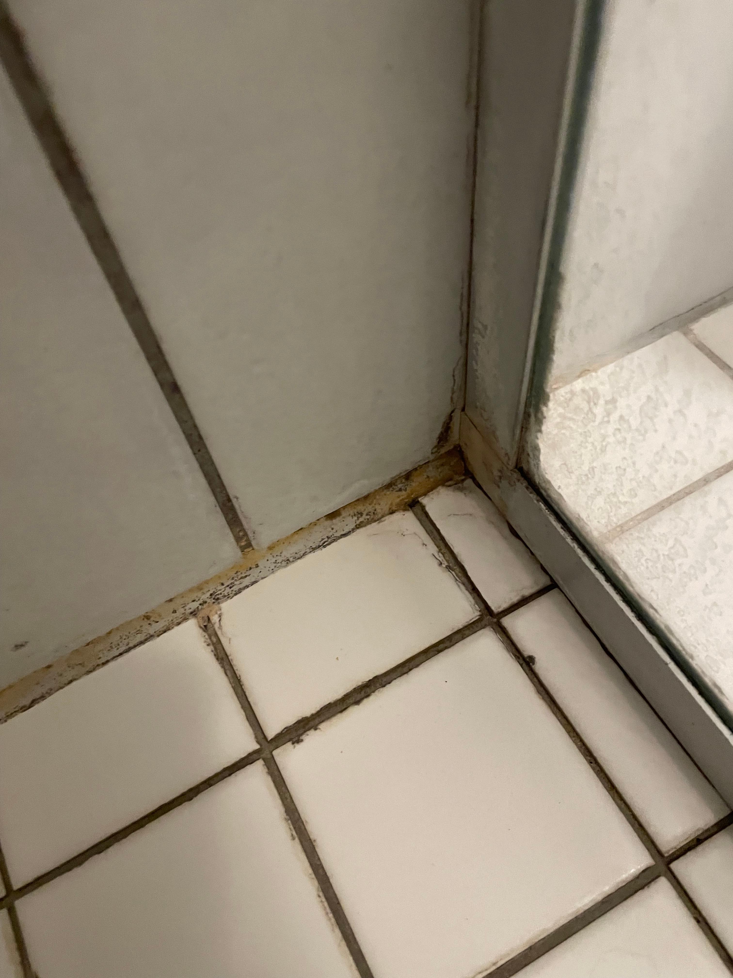 Mold in bathroom