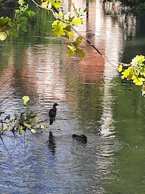 Fluss Lemene