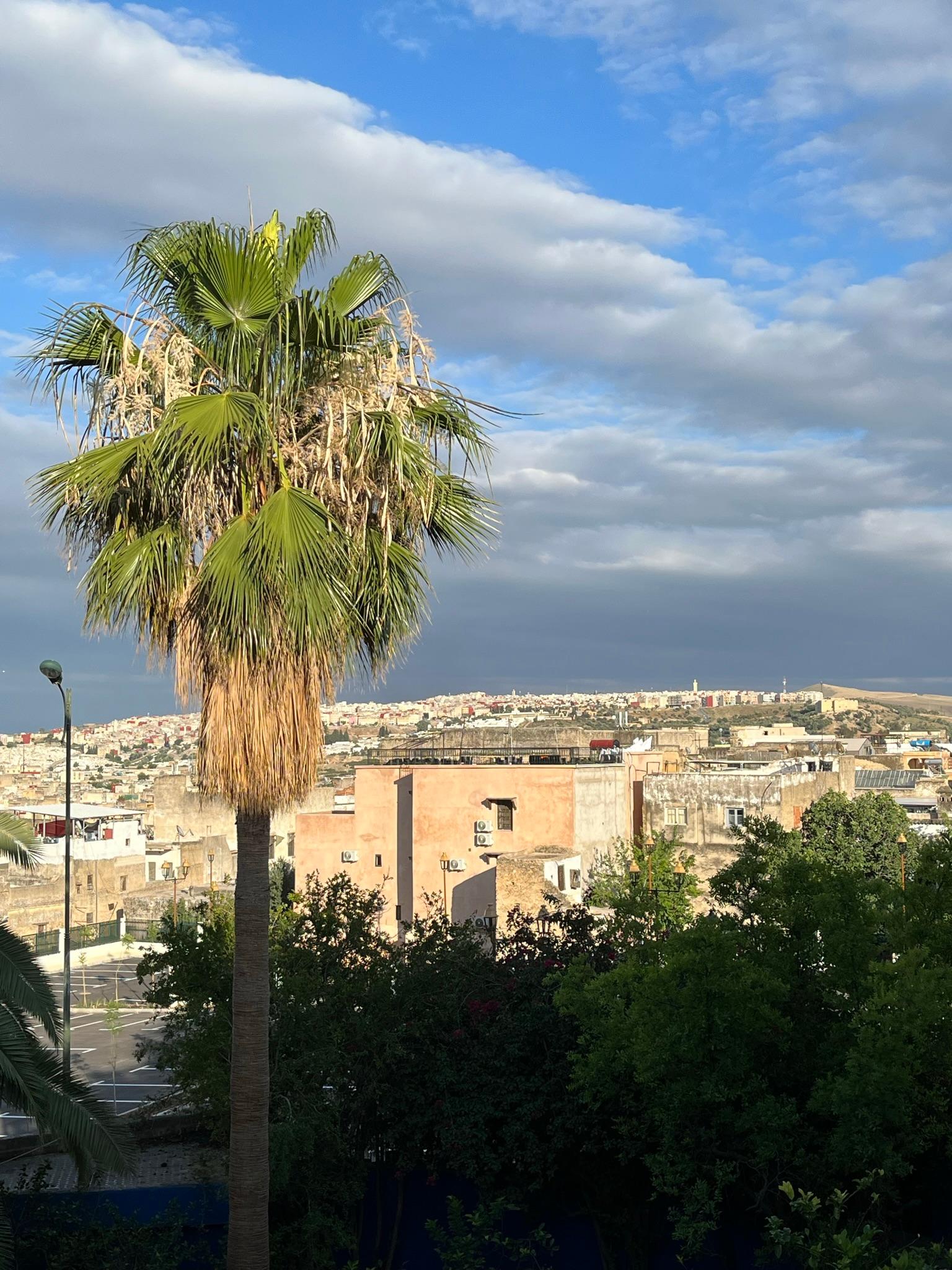 Vue de la terrasse