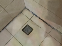 Moisissure dans la salle de bain.