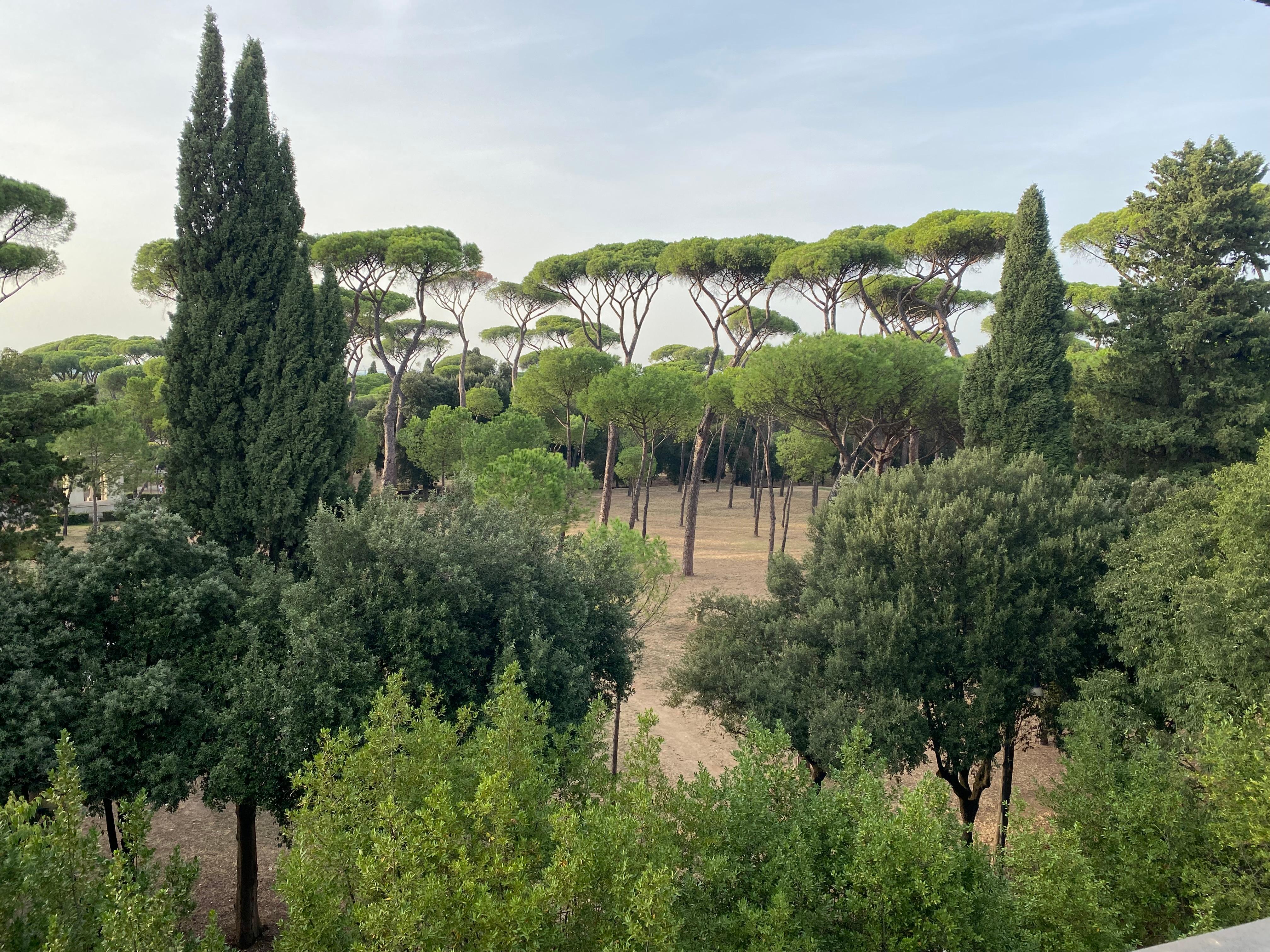 View from my hotel room window 