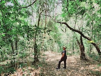 Camino a la catarata