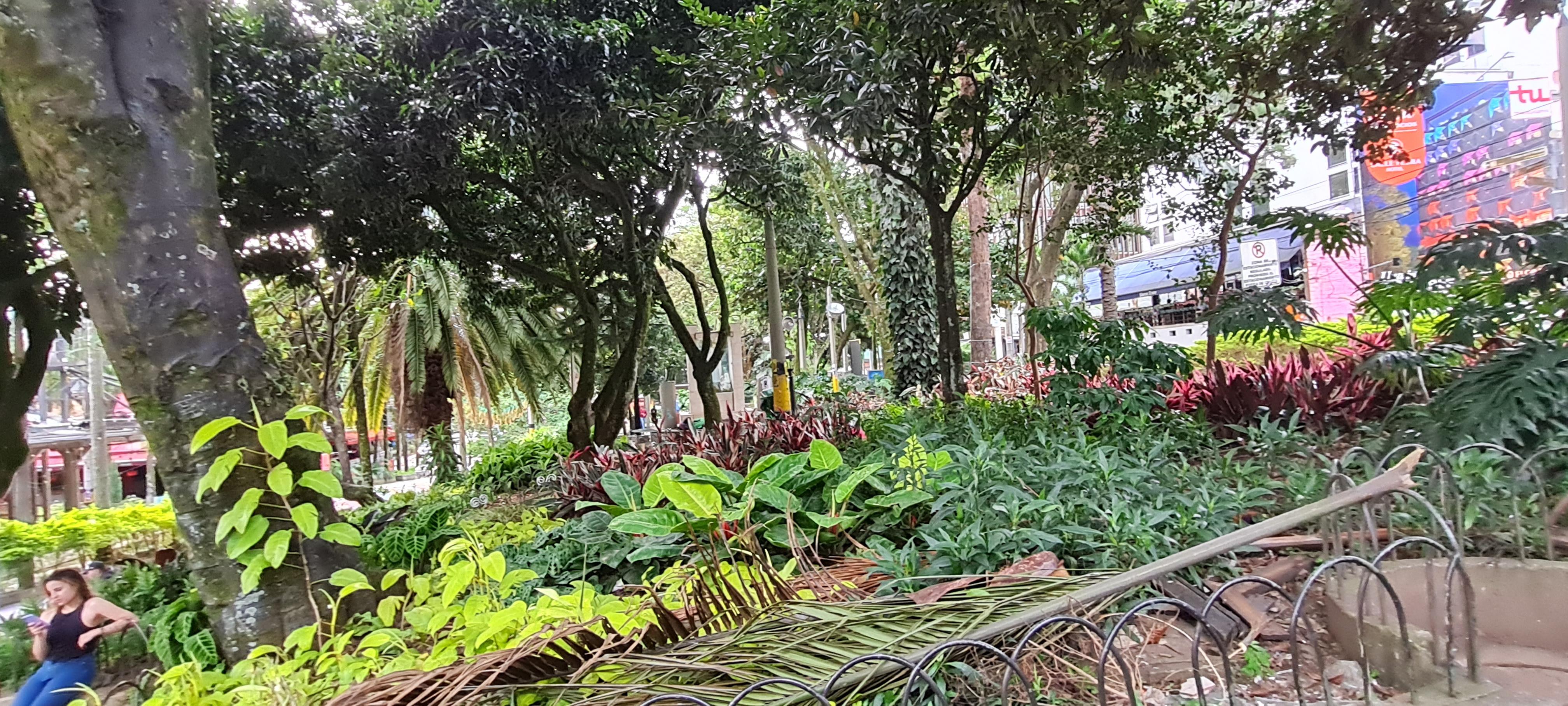 Muy agradable clima y vegetación abundante cerca del hotel