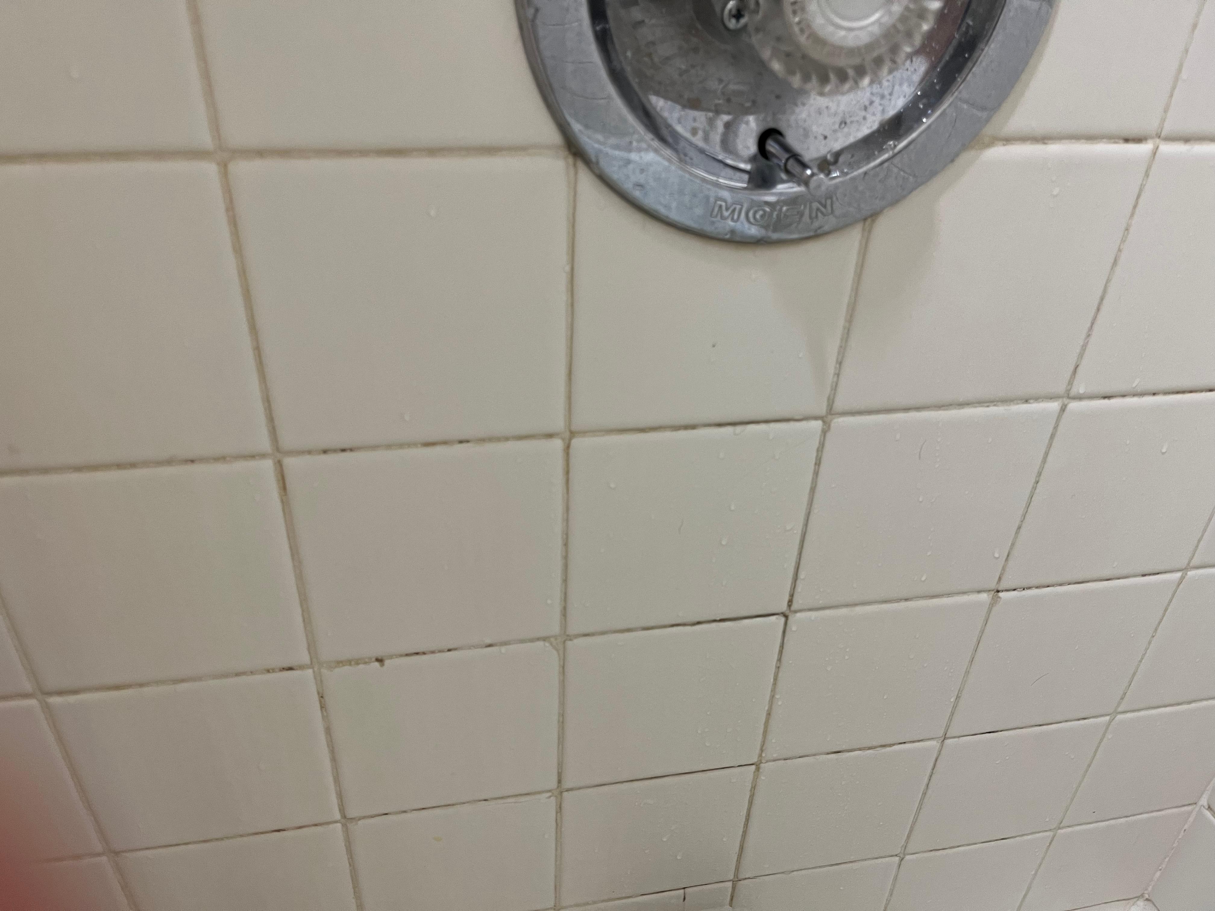 Mold mildew in shower 