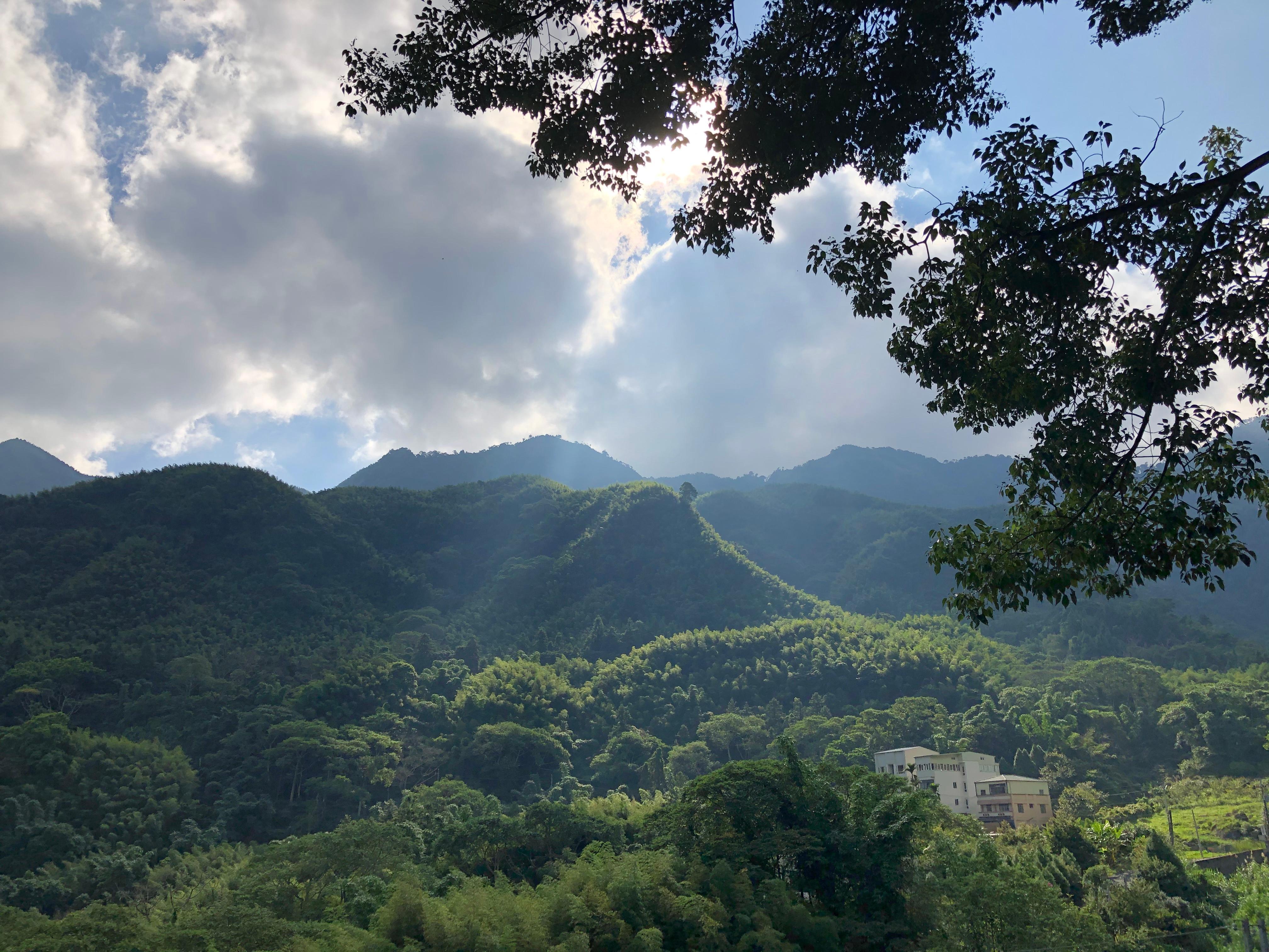 Lookout rest area view