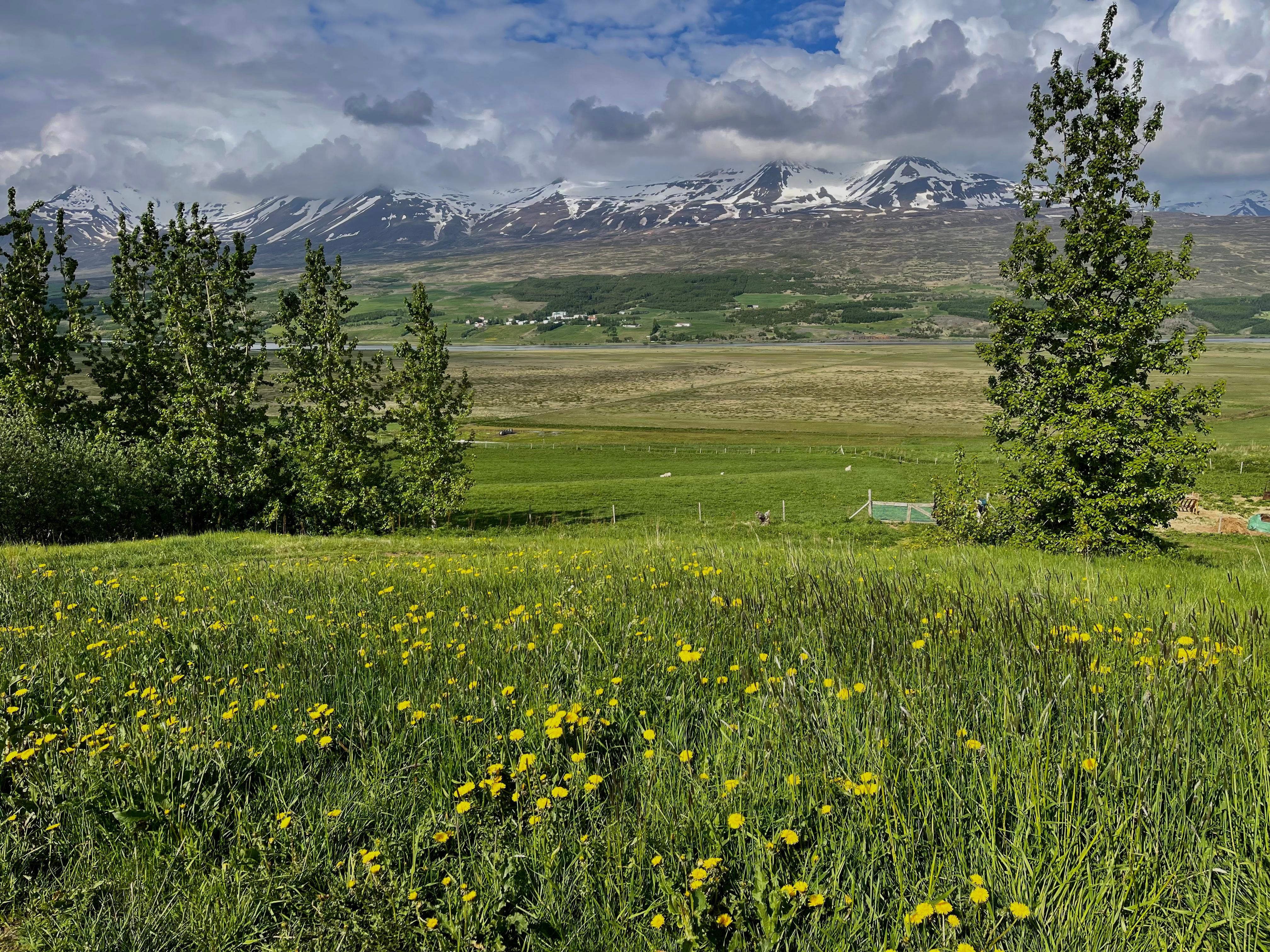 Blick von der Unterkunft in die Landschaft