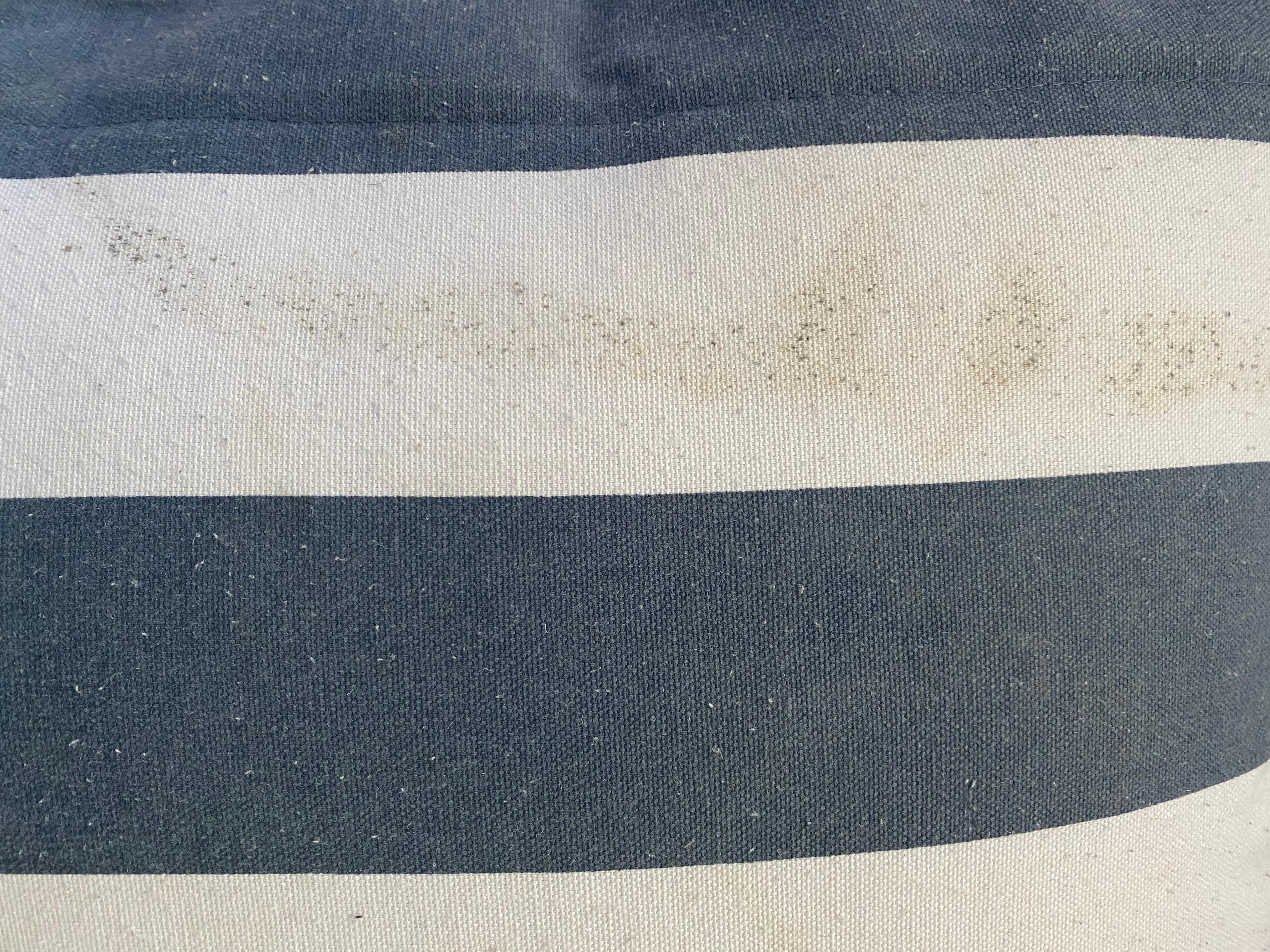Mouldy canvas cushion which was on the bed