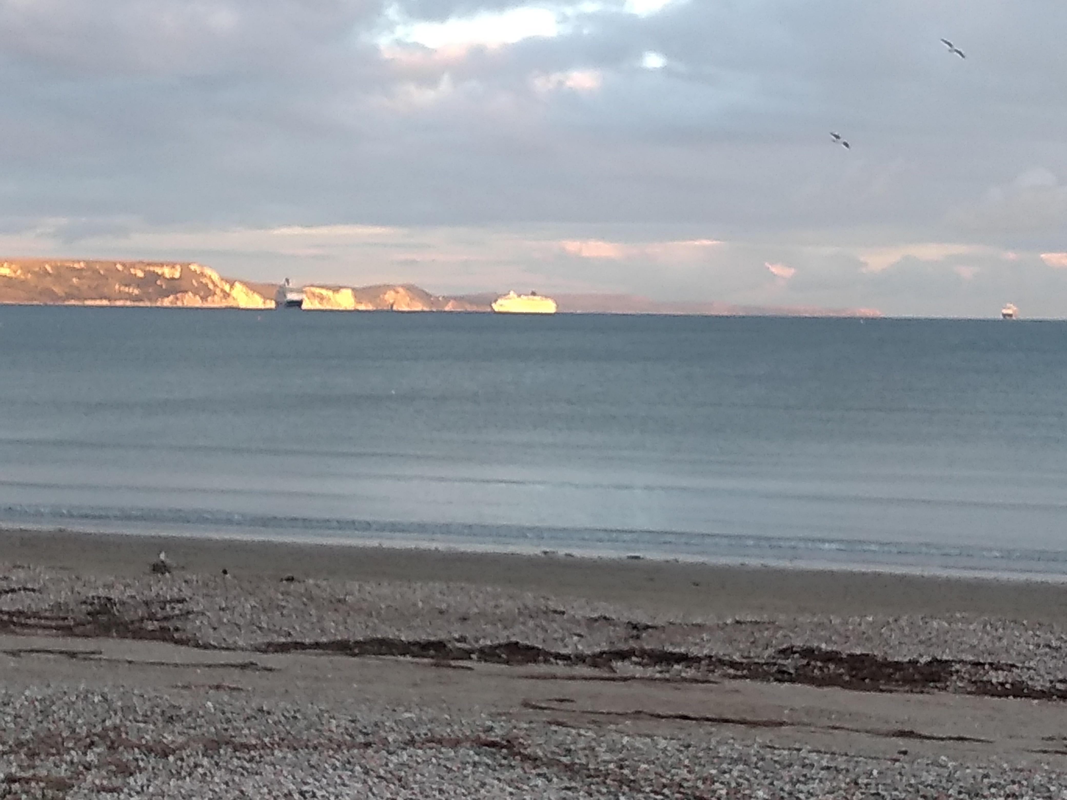 Cruise ships in the bay (from our room)