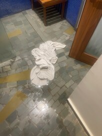 Bathroom flooded due to blocked drains full of hair from other guests.