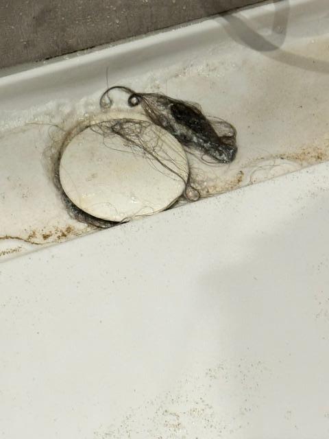 Despite requesting CorfuEscapes for the shower to be unclogged, we had to do ourselves the disgusting cleaning. Looked like had not been cleaned for a while.