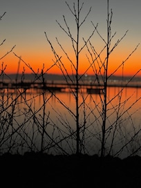 Lige udenfor hotellet en smuk januar morgen