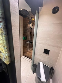 Toilet and shower (shower was fantastic!)