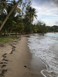 Local Beach