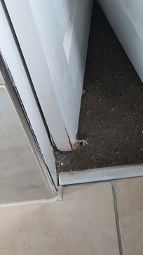 Broken bathroom door(1)