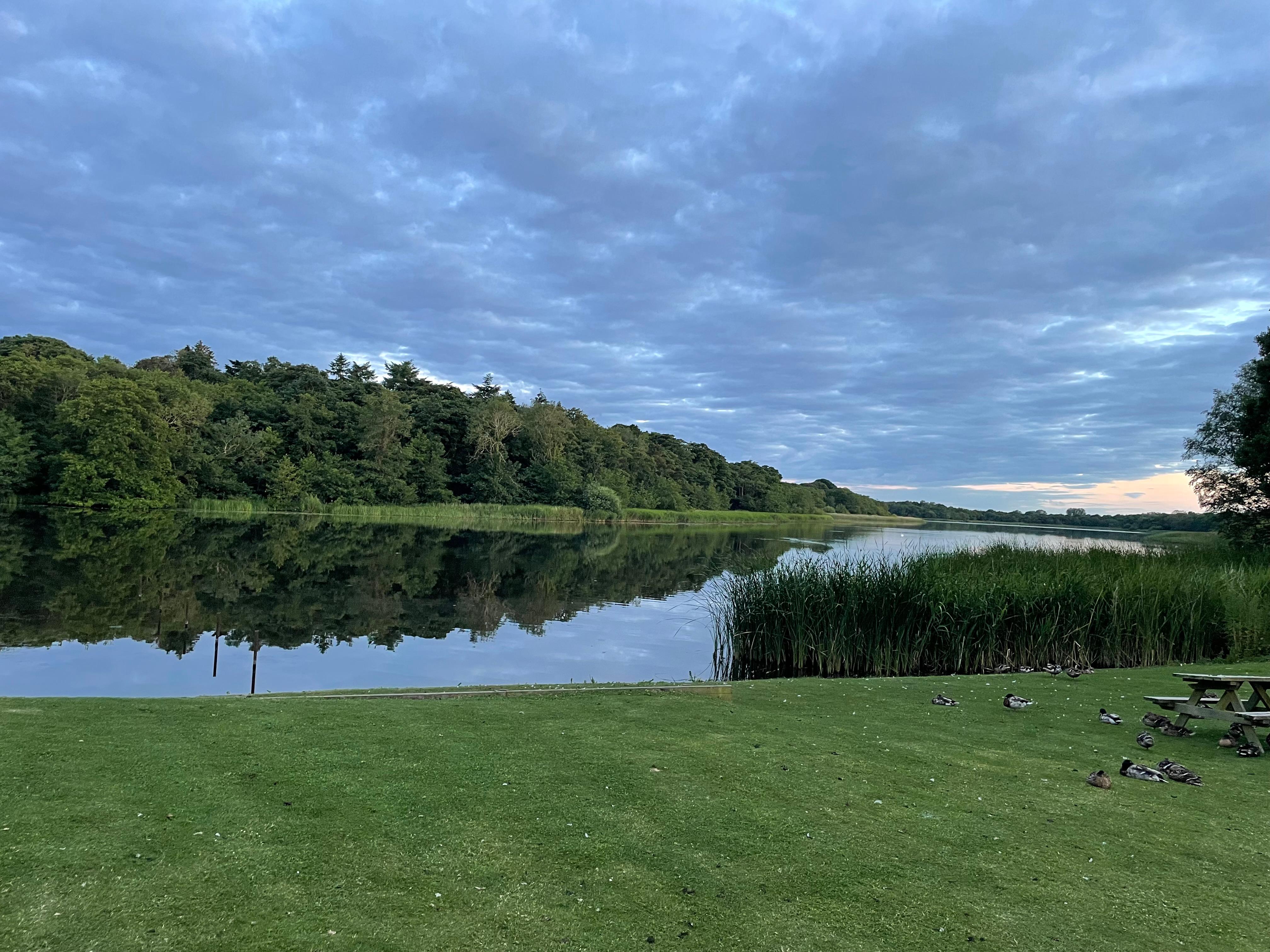 View of Ormsby Broad