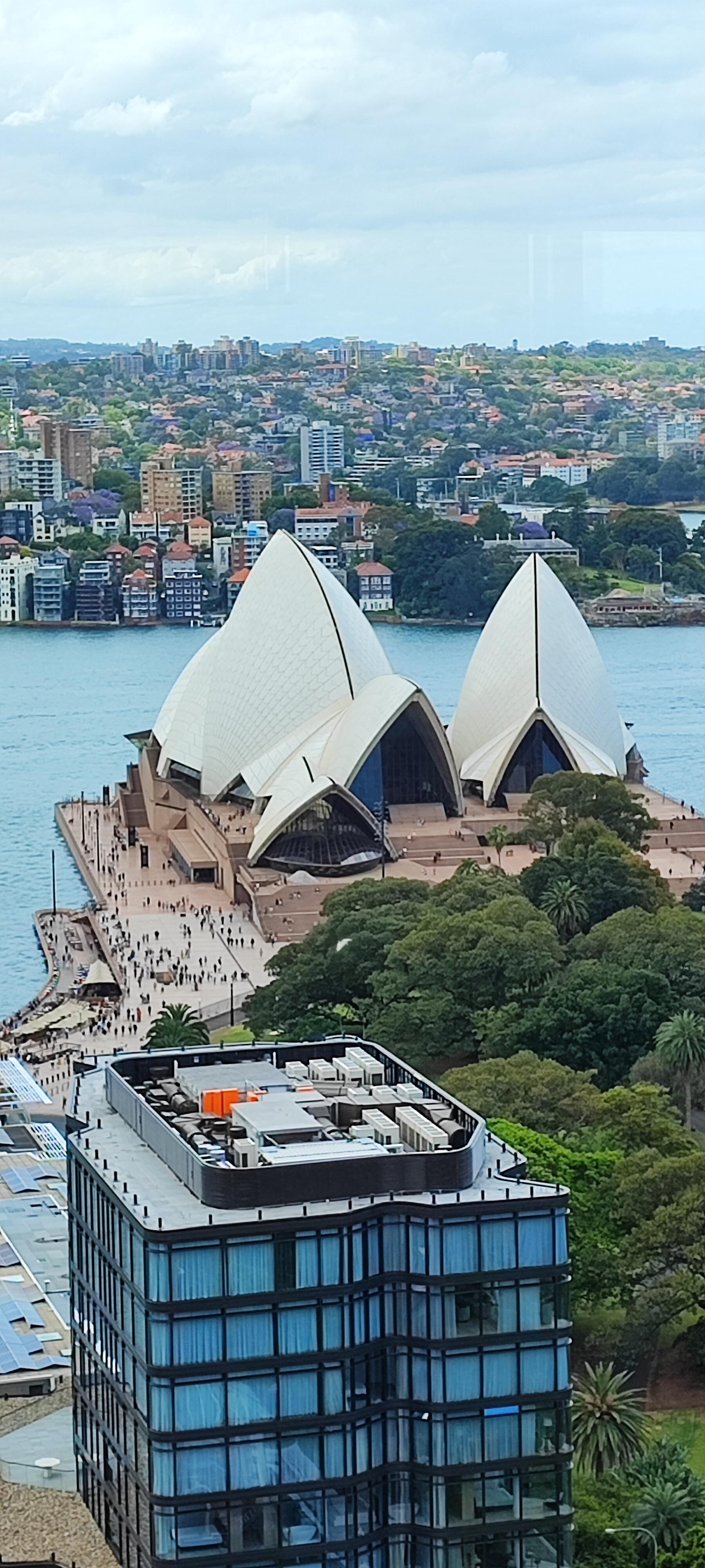從頂層泳池可望到歌劇院