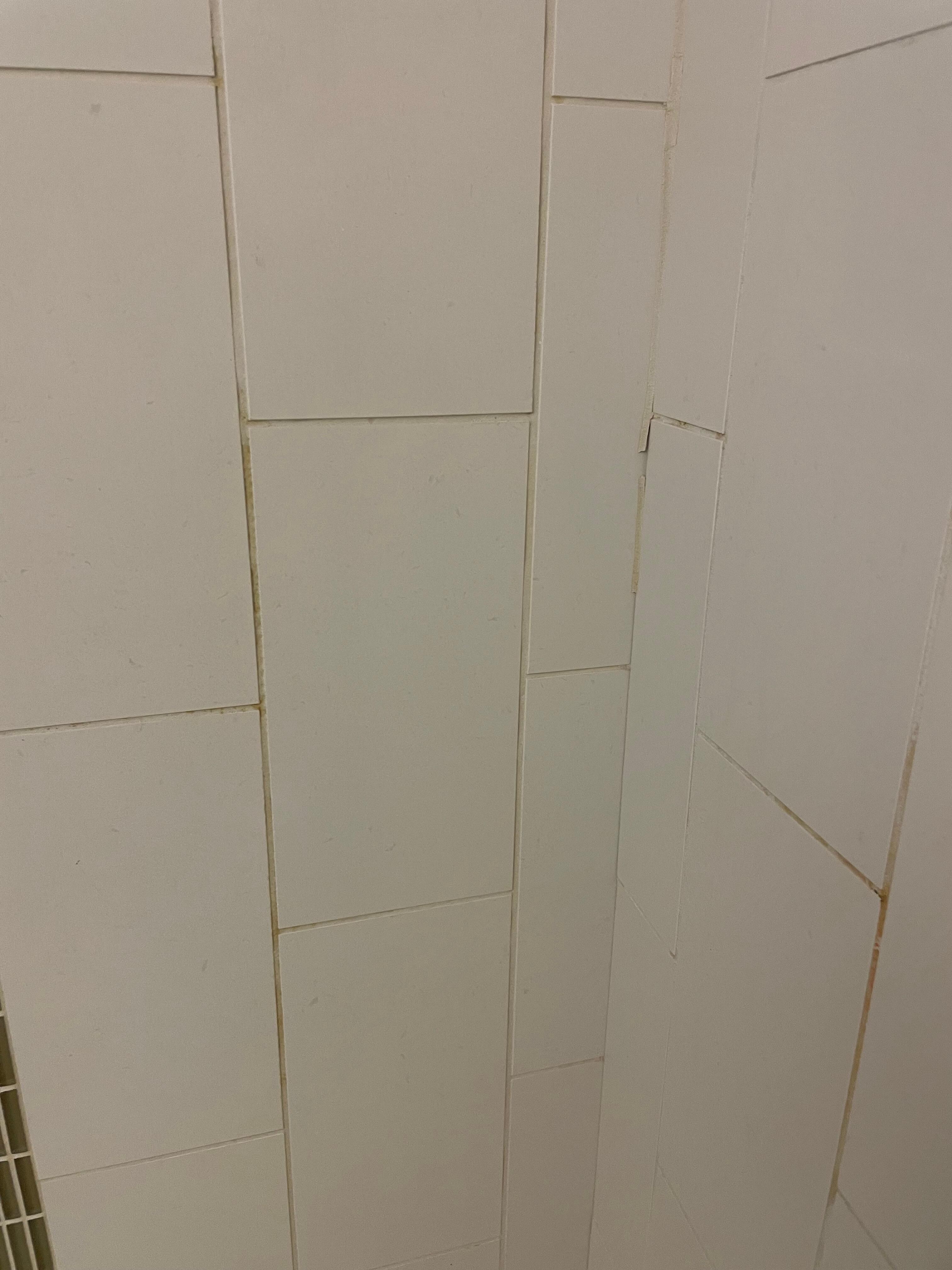 Grime and possible mold in shower