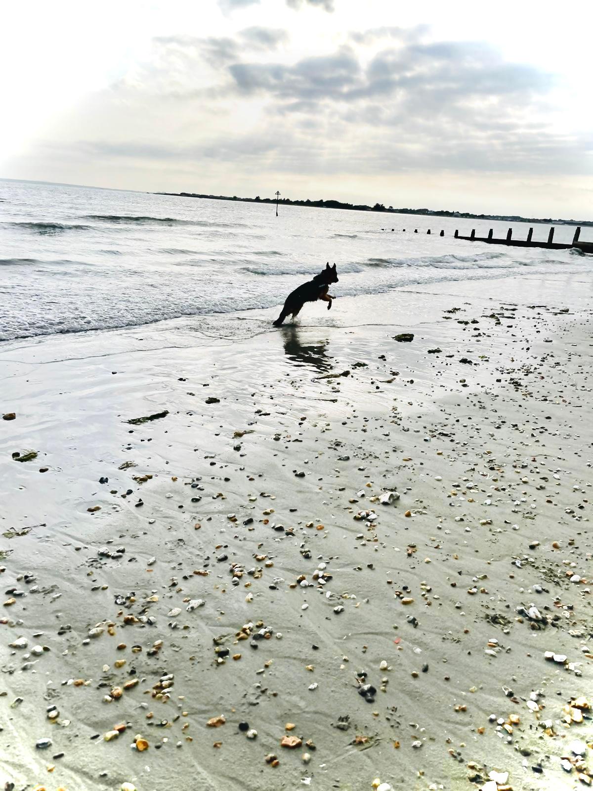 The beautiful beach at West Wittering just alone the road ten minute drive from the house for a lovely evening stroll with the pup