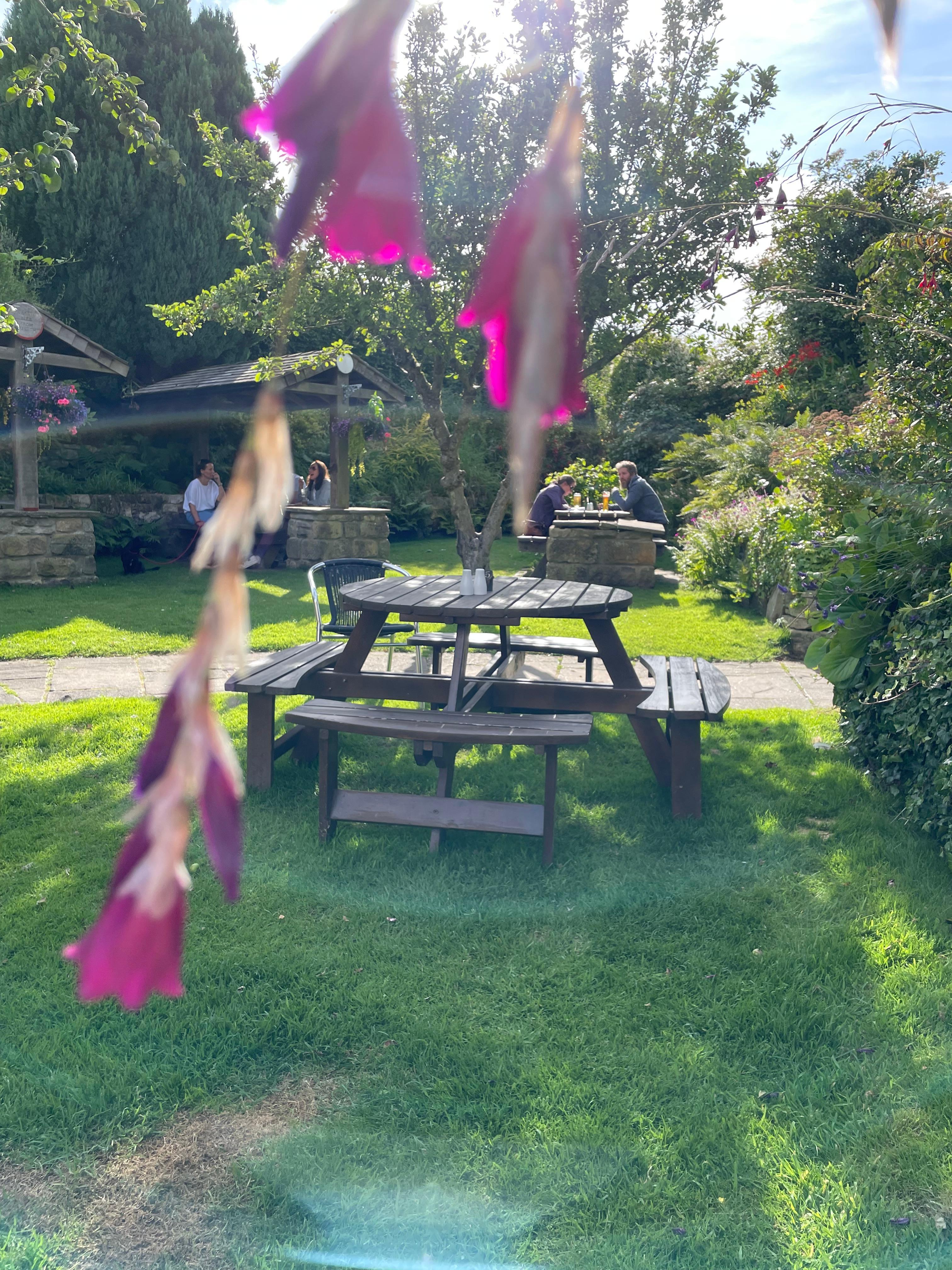 The lovely beer garden full of mature trees, shrubs and plants 