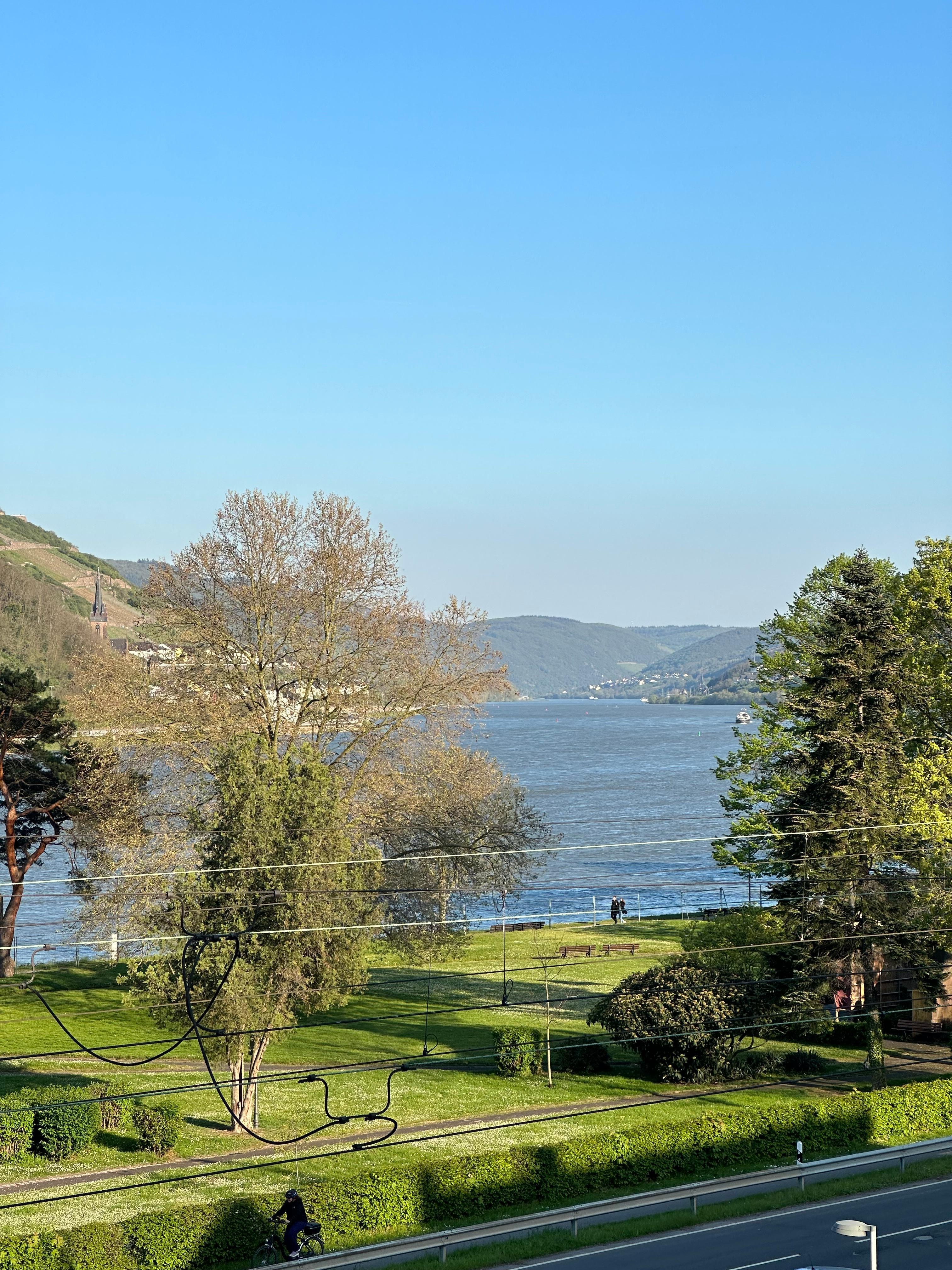 View