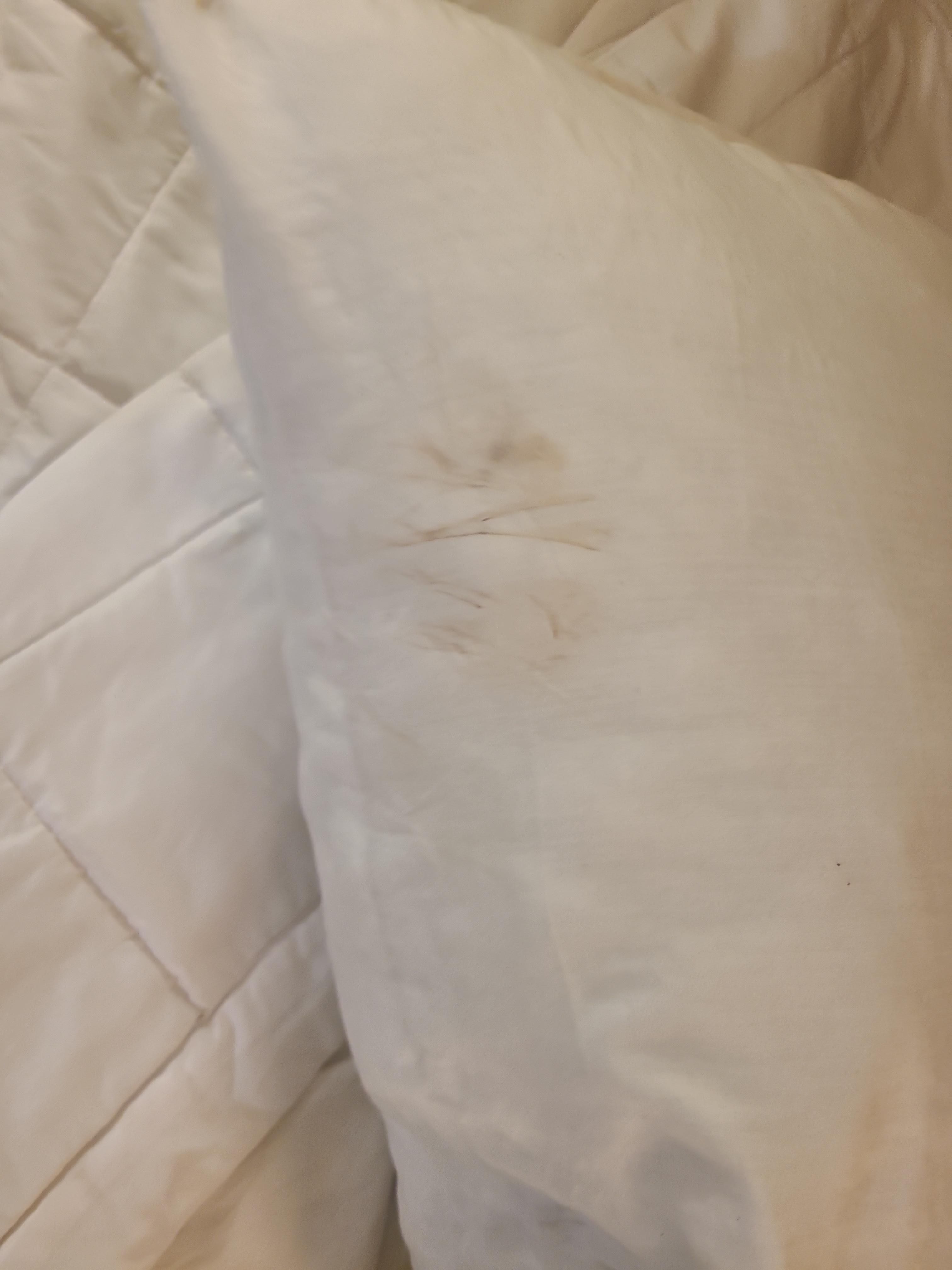 Stains on pillows and sheets!