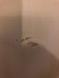 Holes in sheets