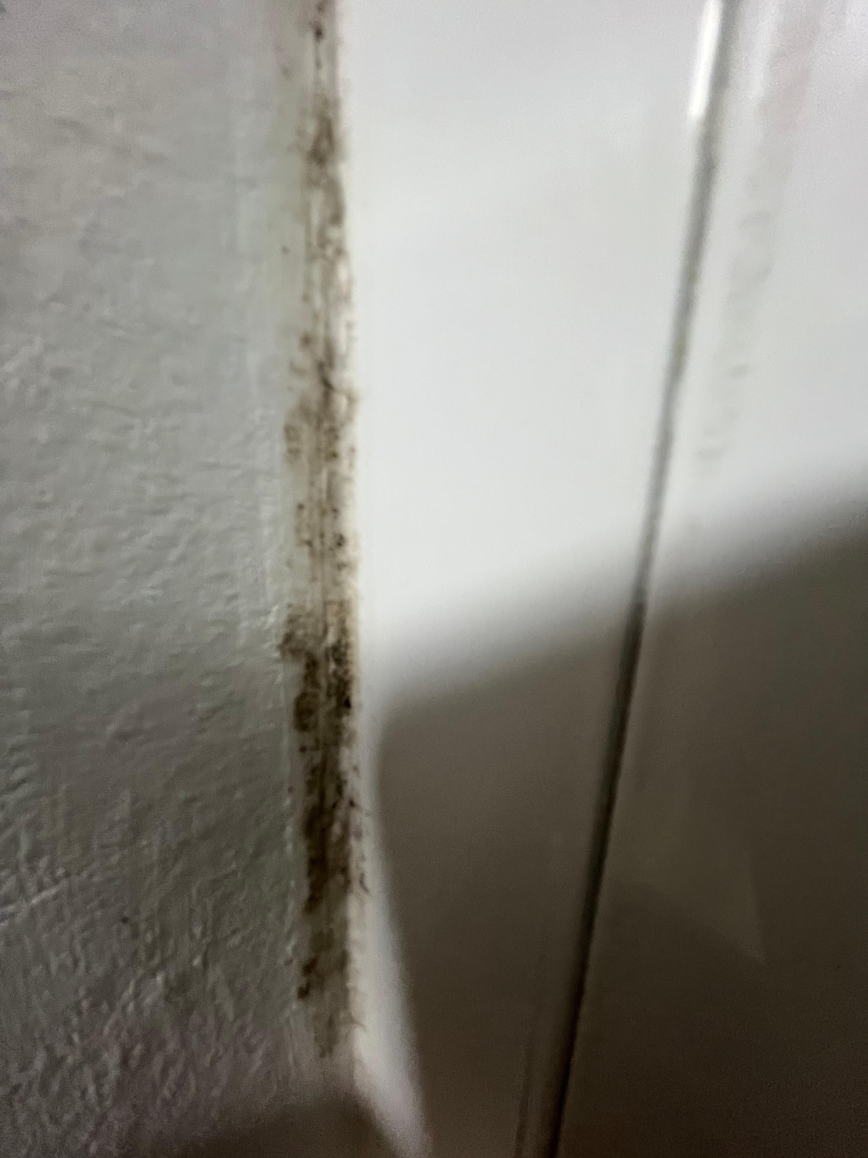 moisture and humidity