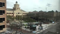 Vista desde la habitación.