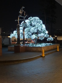 Arbre devant lâhĂŽtel joliment dĂ©corĂ©