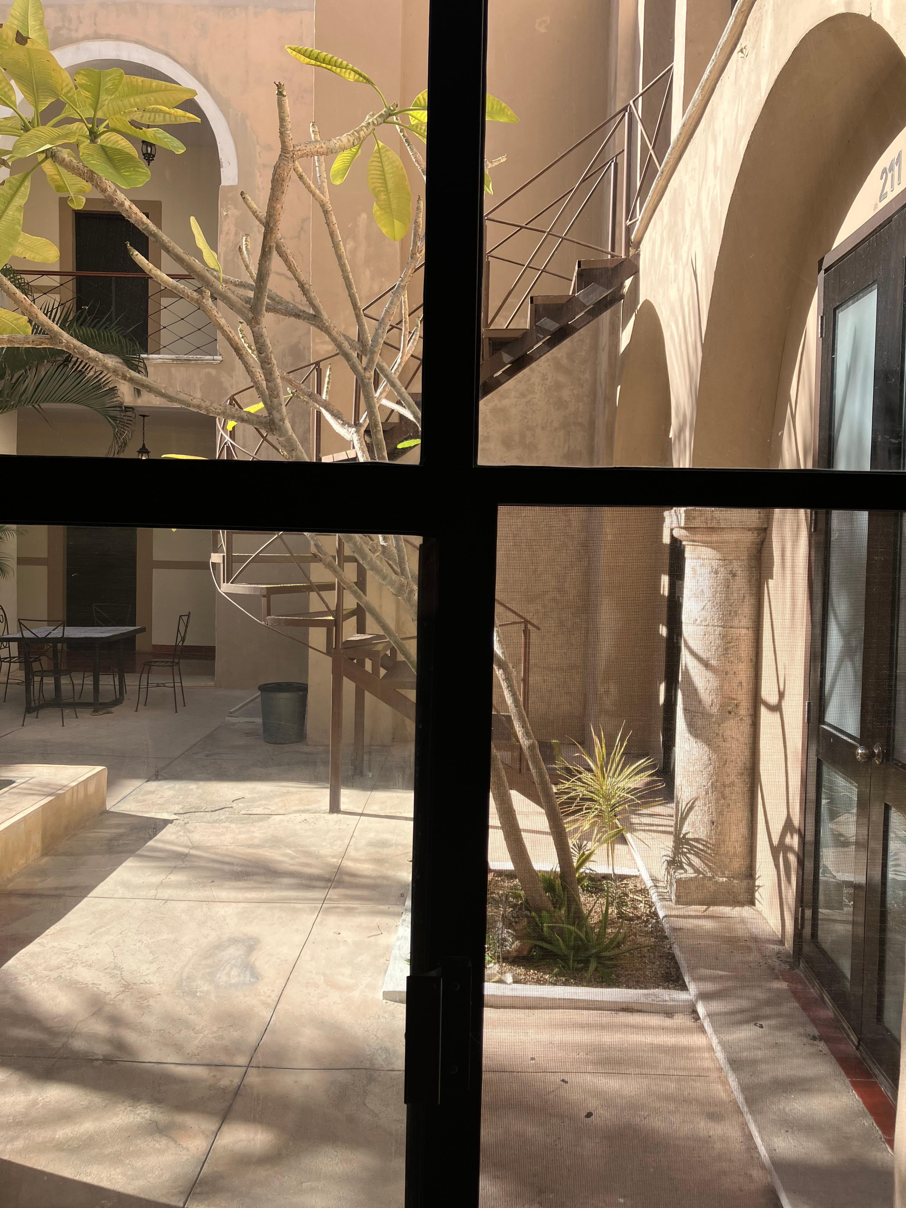 View out room to courtyard