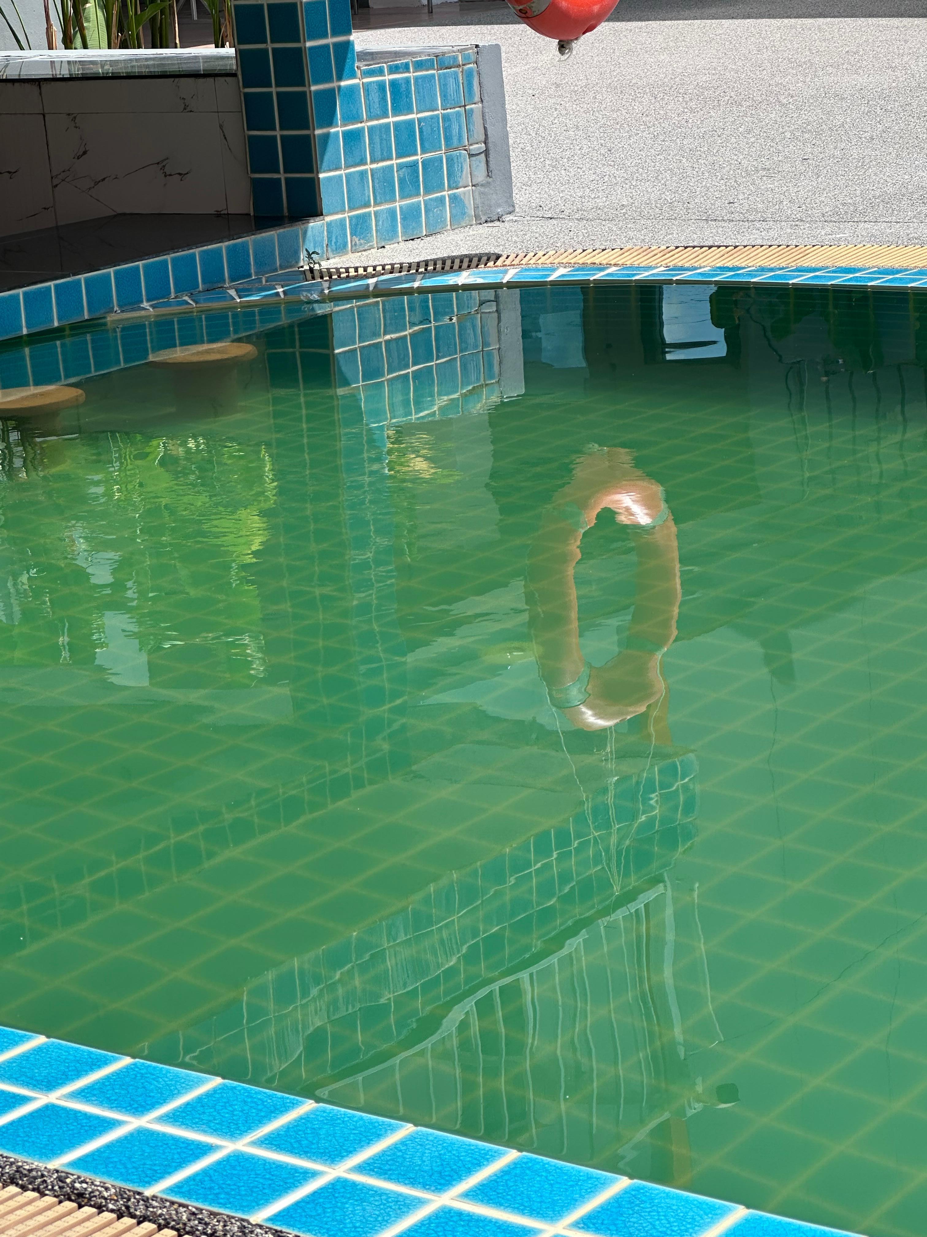 Filthy swimming pool