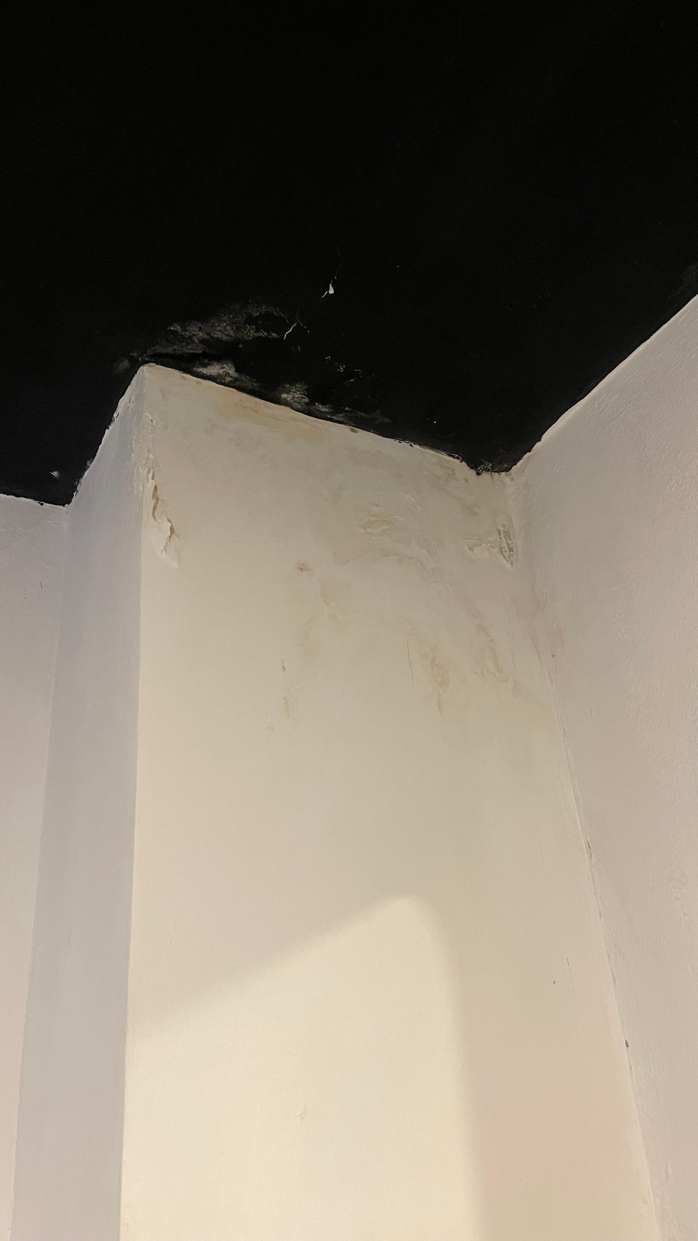 Water Damage and possible mold.