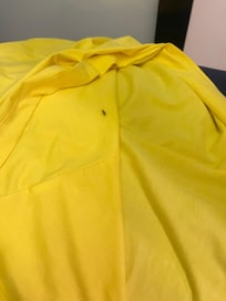 Ant on my shirt just minutes of the t shirt laying there