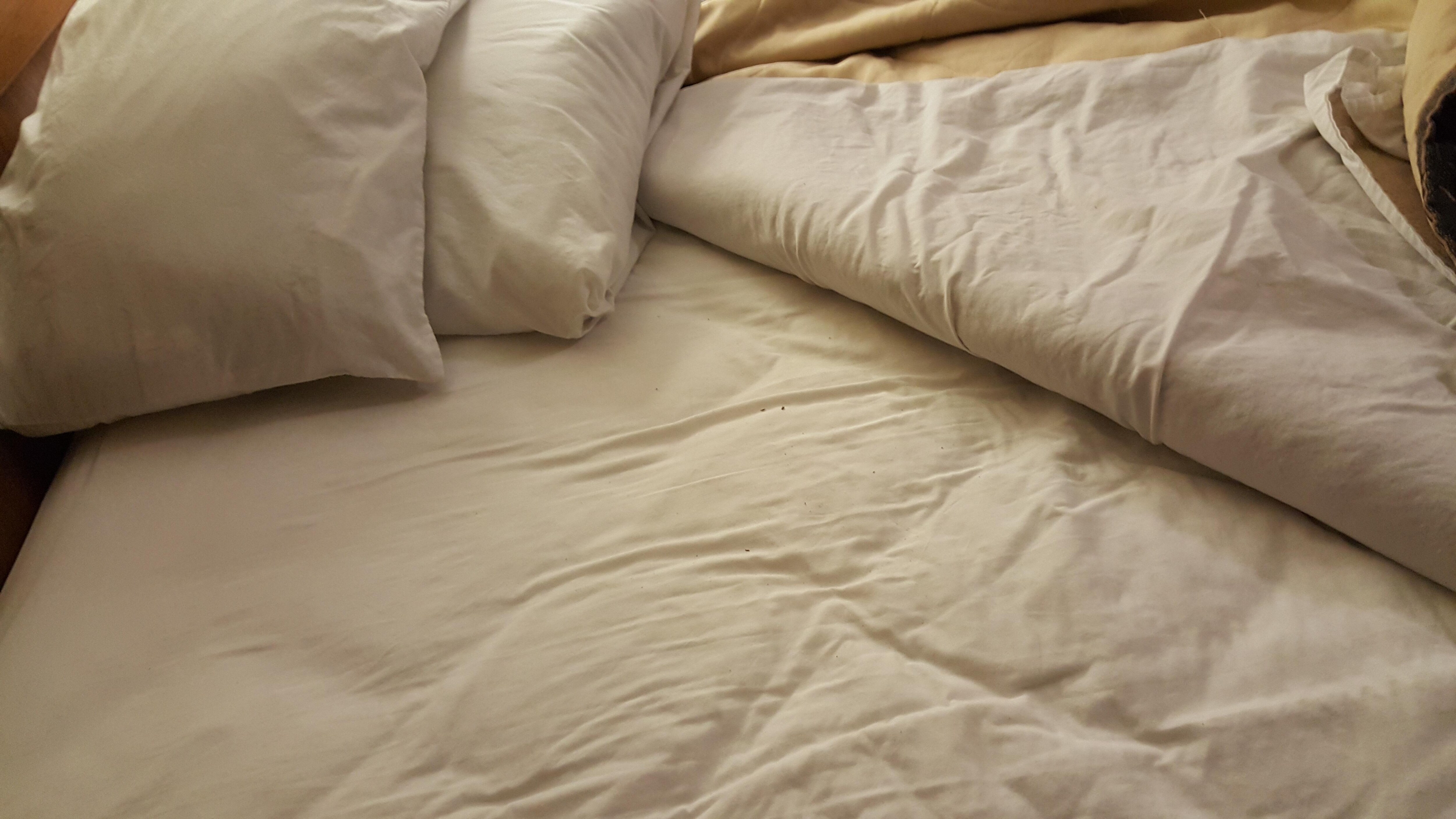 Bed not changes