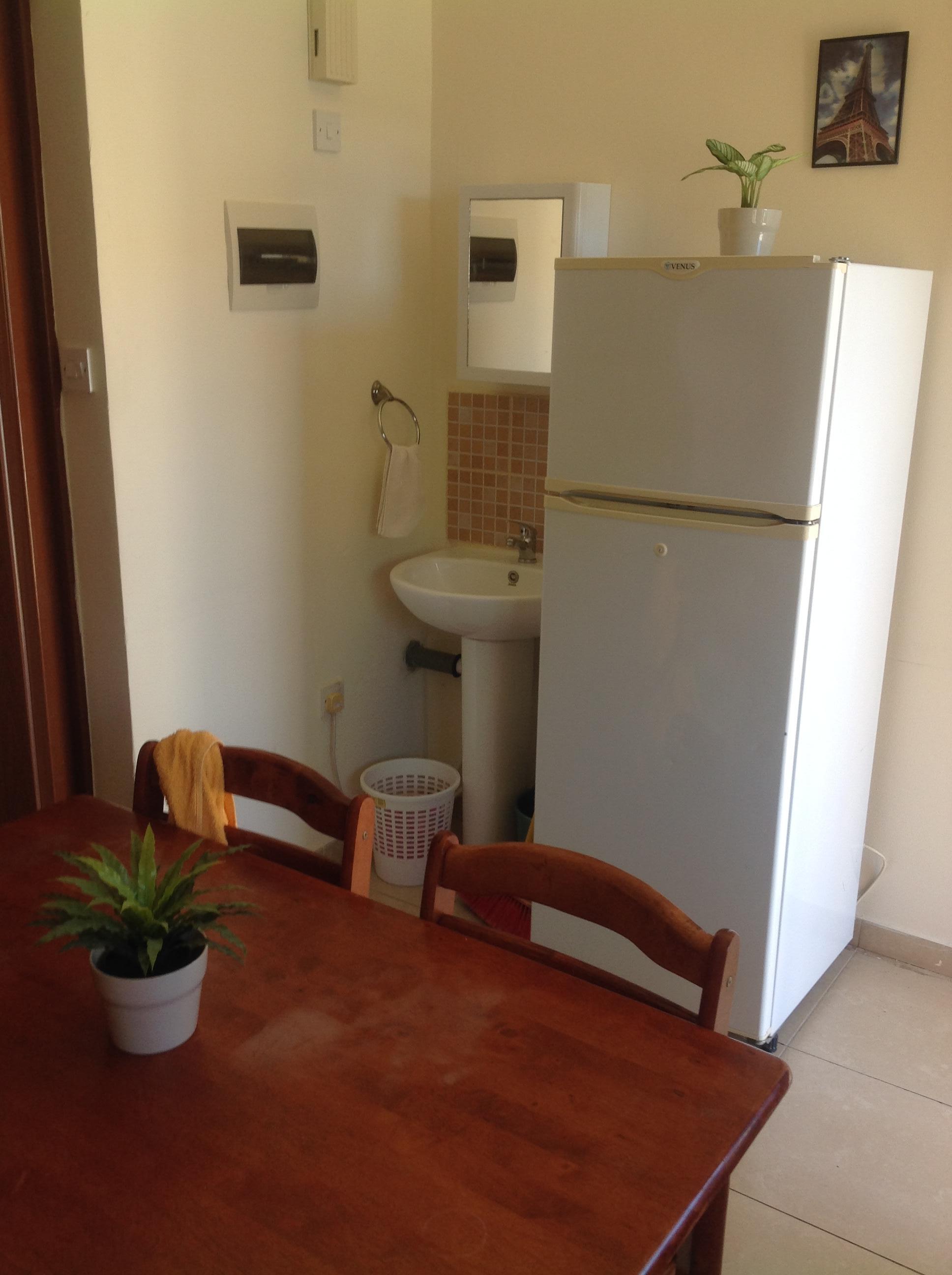 The bathroom sink, in kitchen next to fridge. 