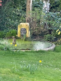 Pond