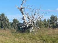 Out side back of the resort by the pool