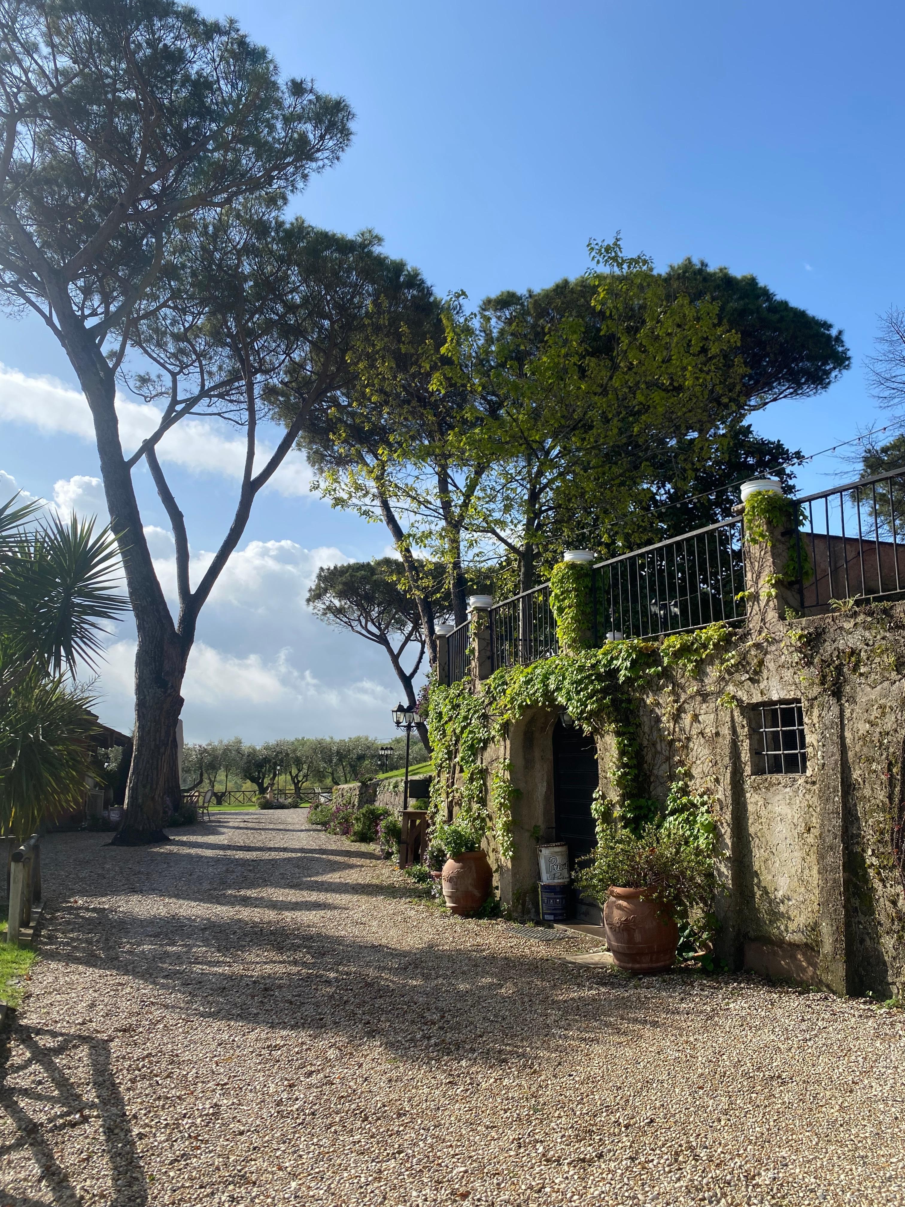 The grounds