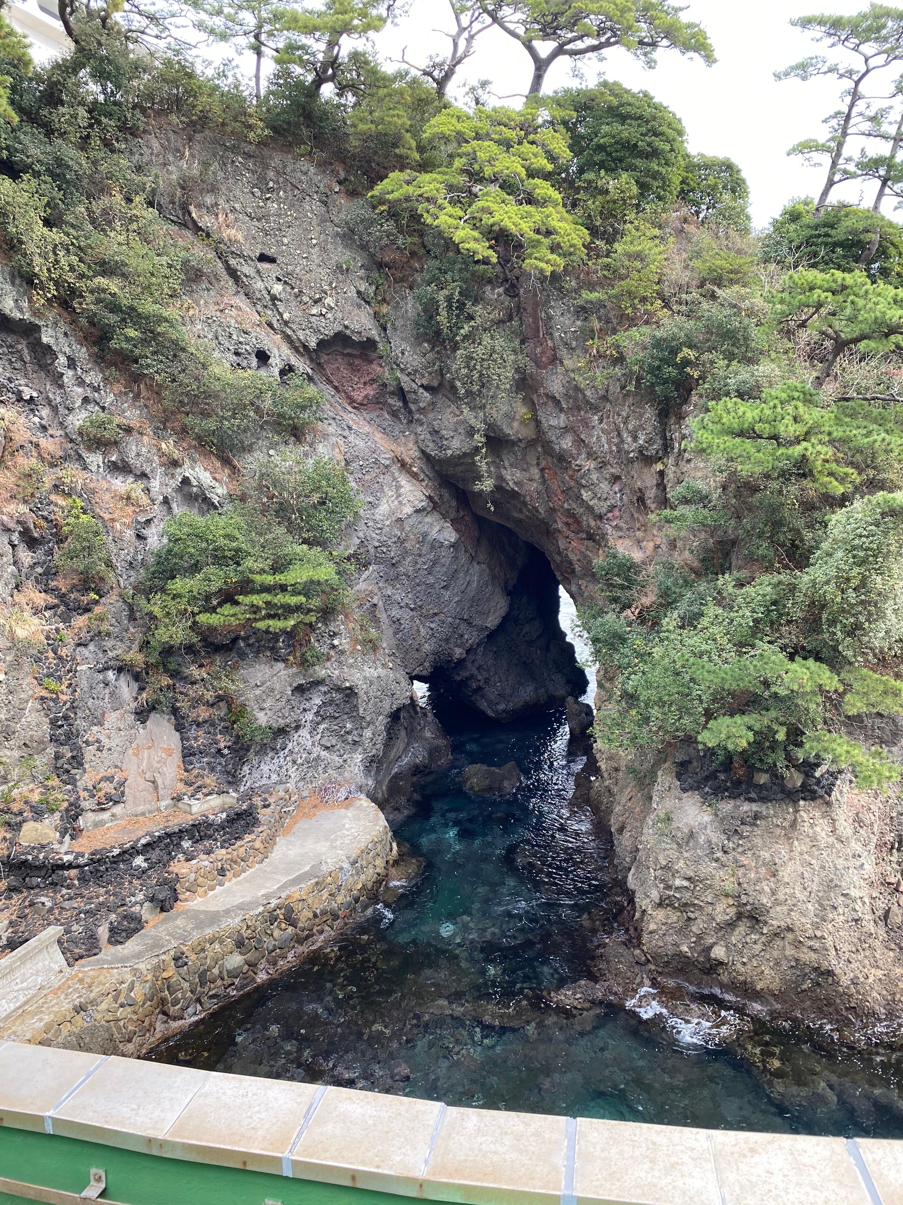 屋上庭園からの景色