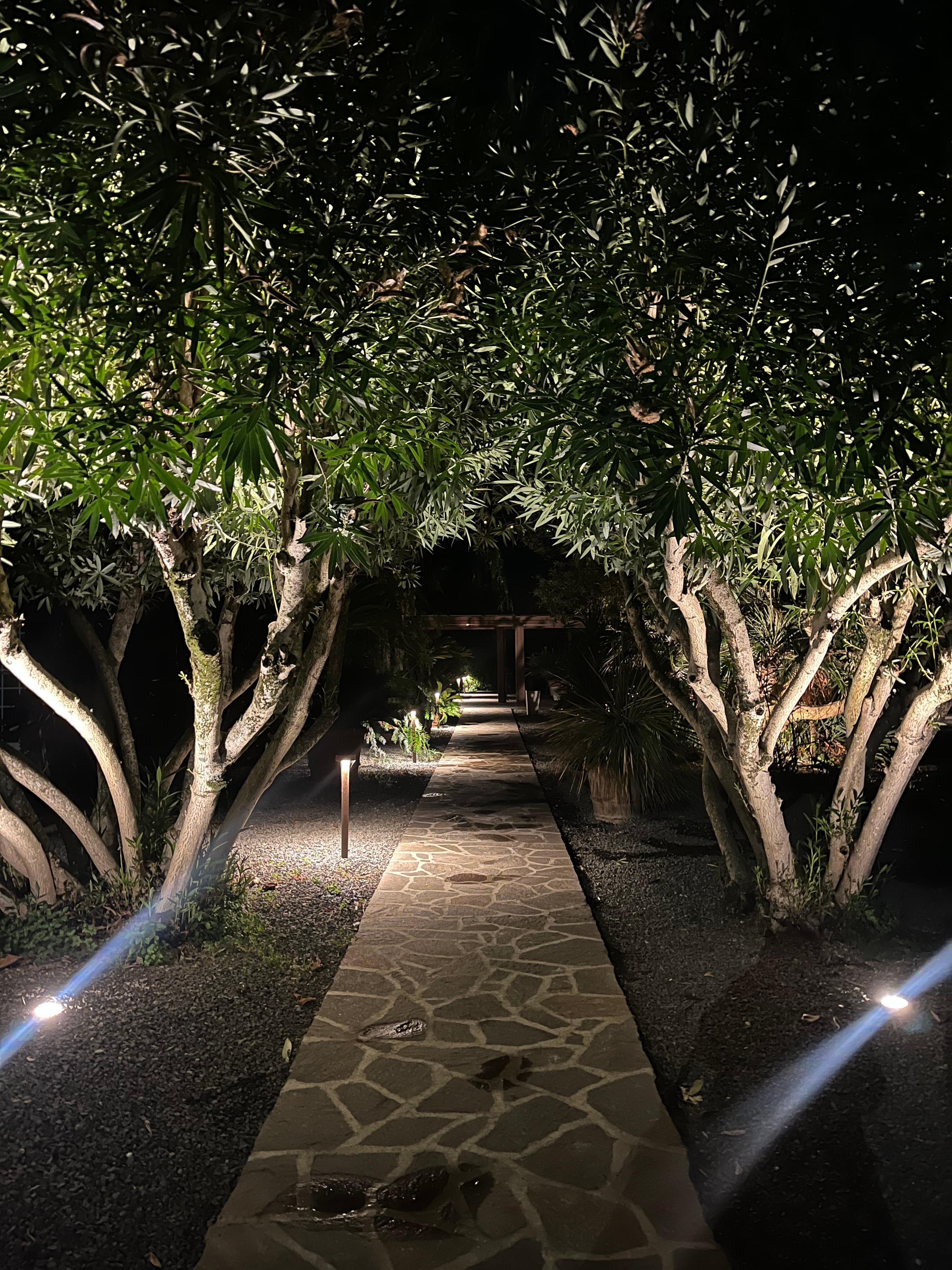 Lighted Path