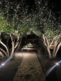 Lighted Path