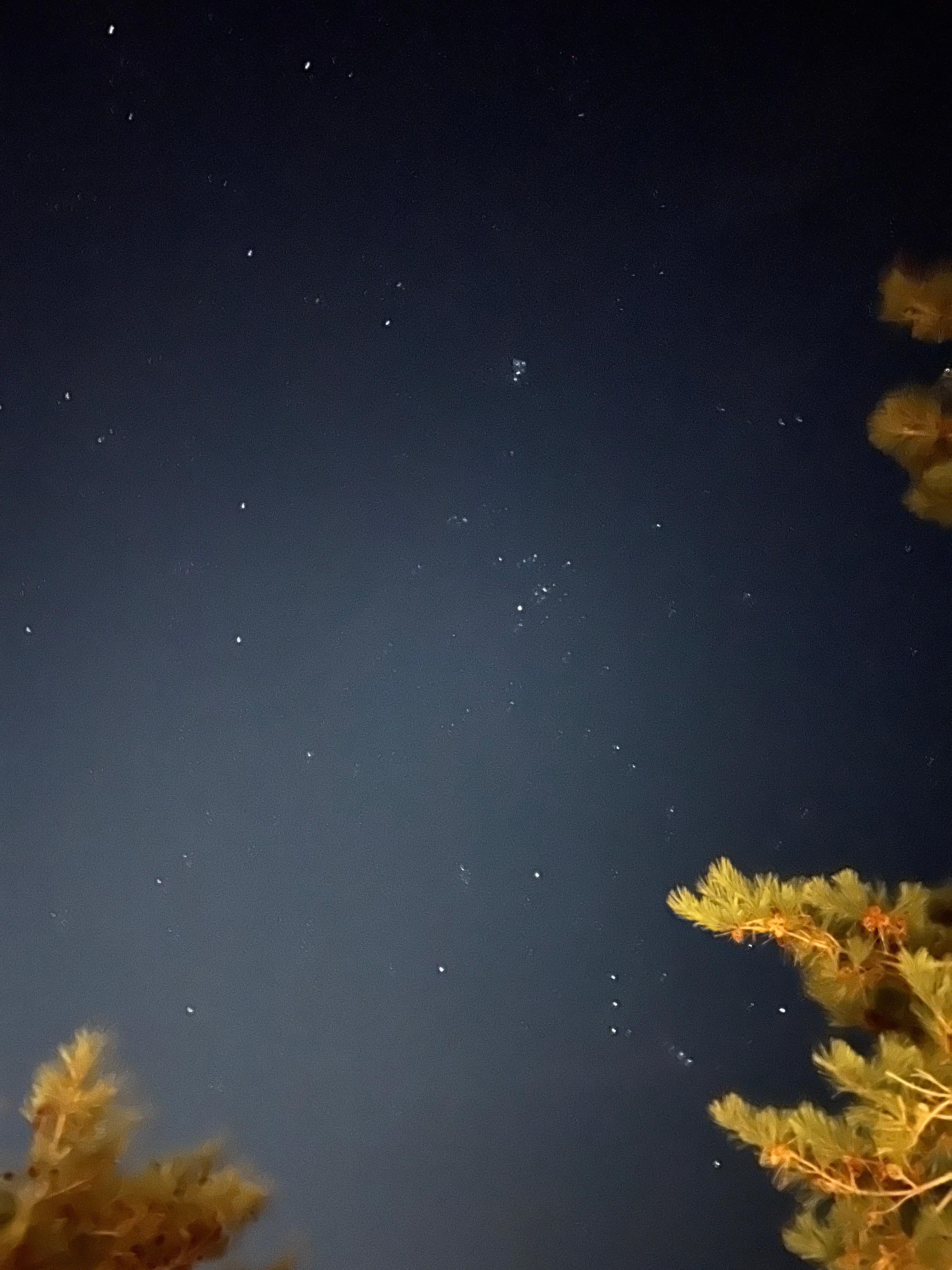 밤에는 별이 보이구요