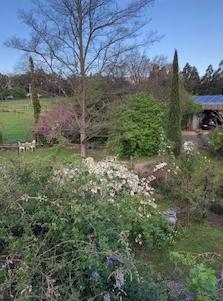 The beautiful garden in full bloom