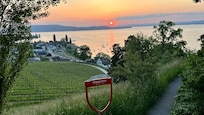 Blick auf den See