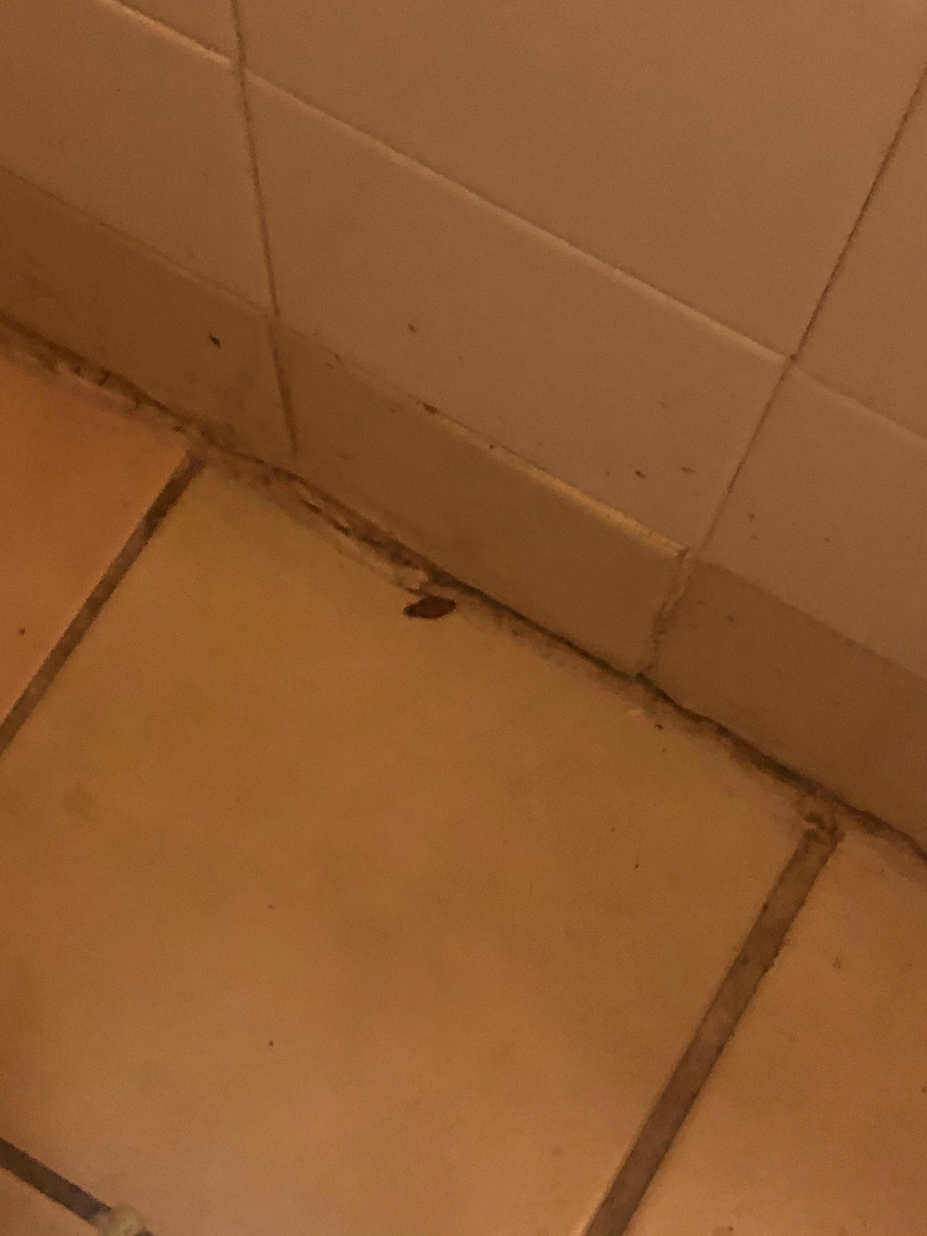 No description needed  