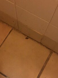 No description needed