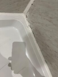 Mold in shower