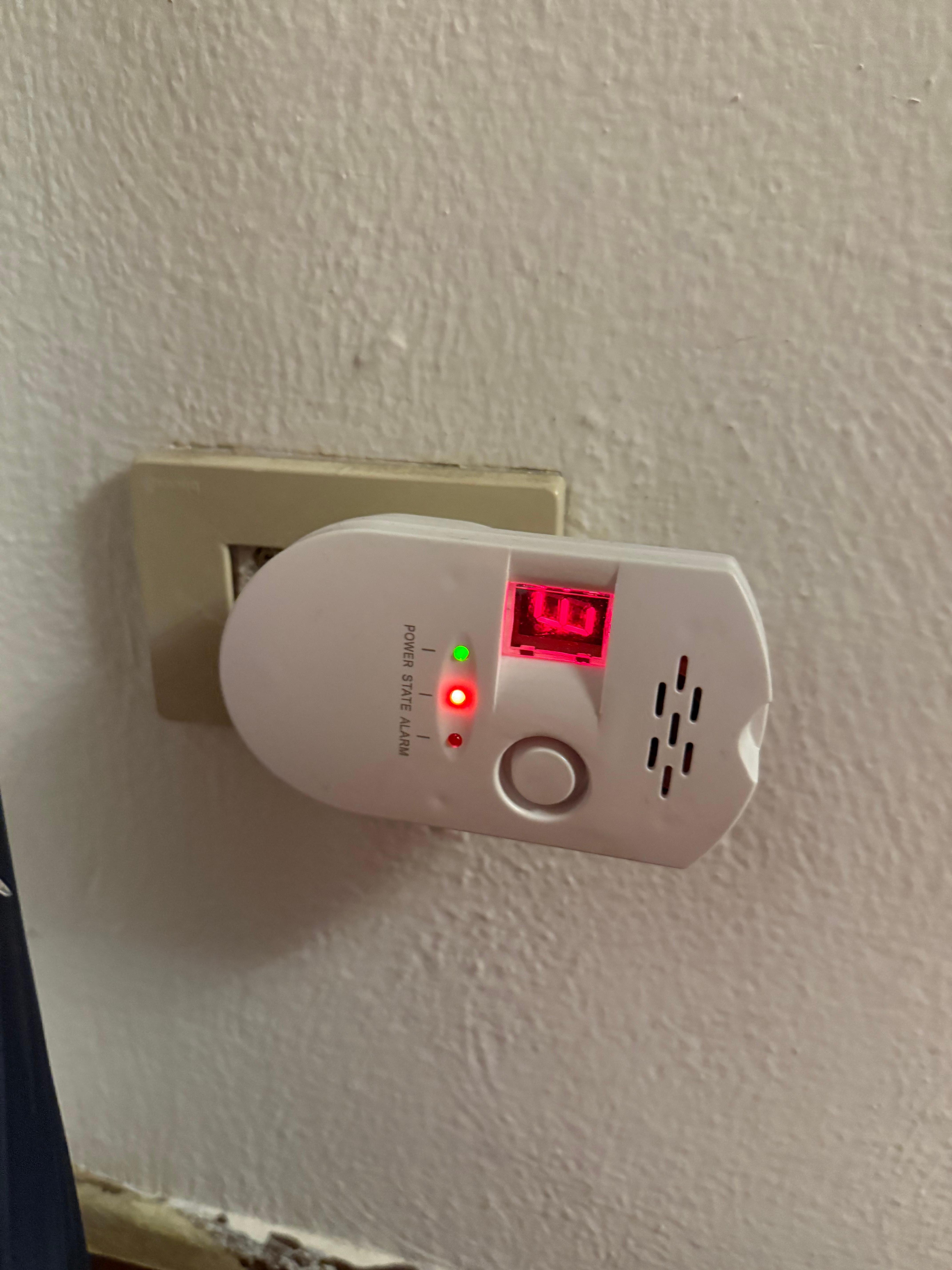 The gas alarm.