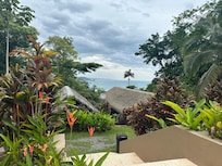 View from our Jungle room